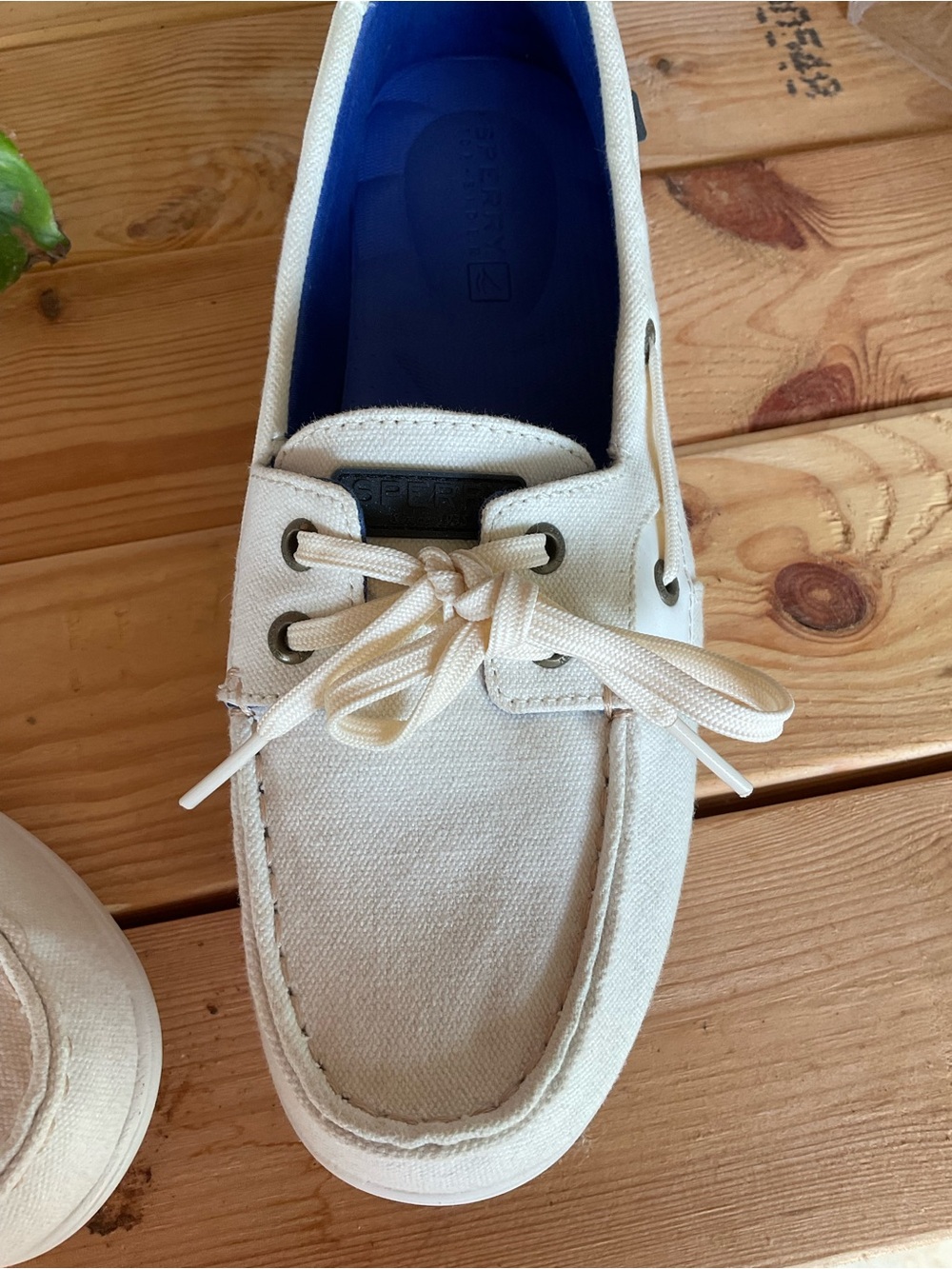 Sperry Canvas Boat Shoes - White. Size 10 - Picture 3 of 8